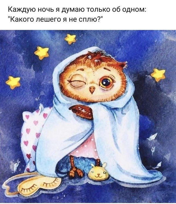 пожелания на ночь прикольные