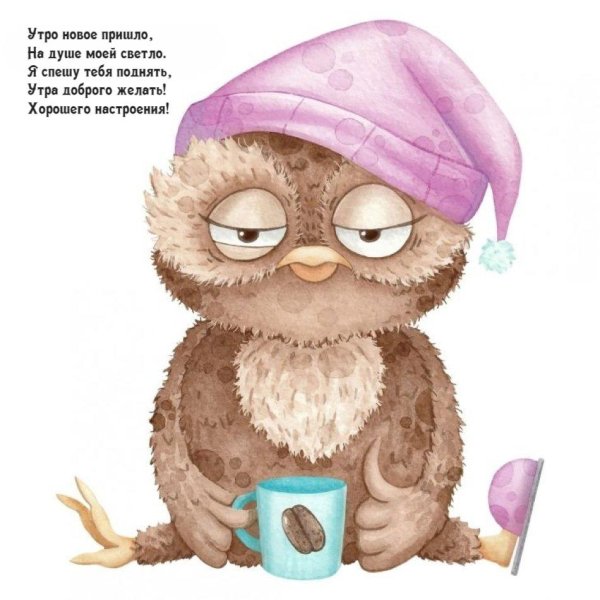 доброе утро совушка