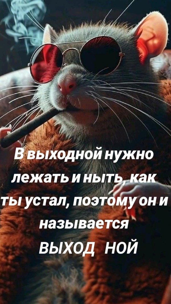 ржачные статусы