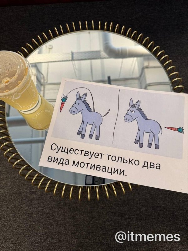 существует только 2 вида мотивации