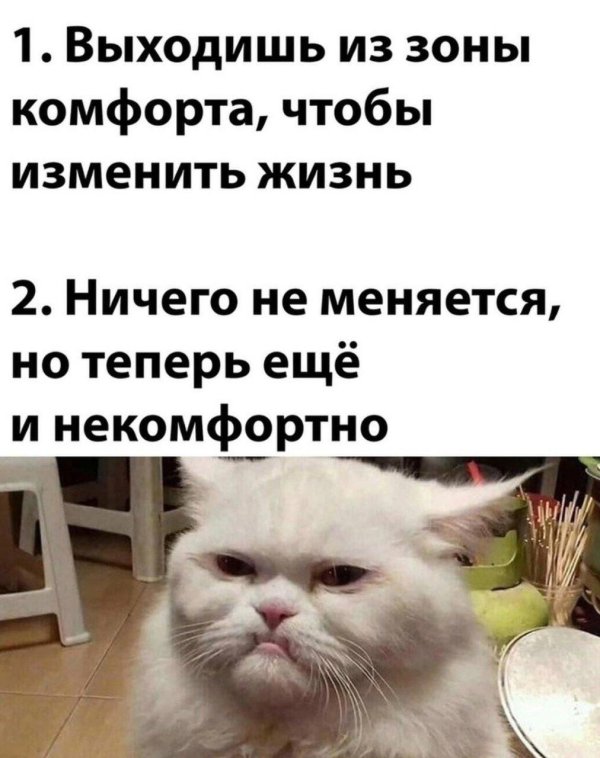 зона комфорта прикол