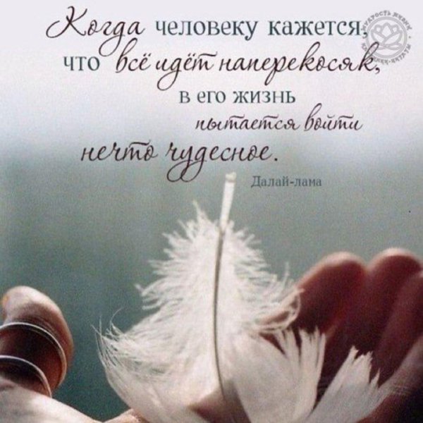 перья ангелов