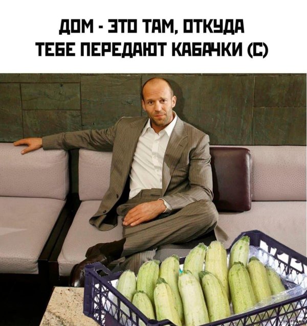 кабачок смешной