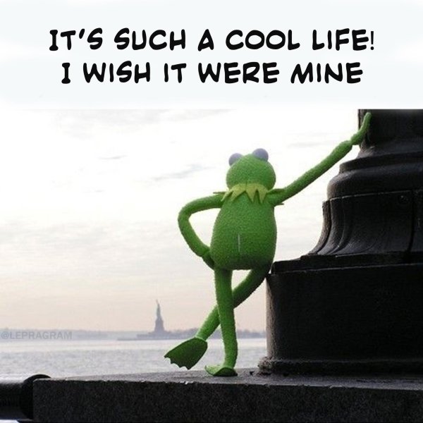 лягушонок ждет