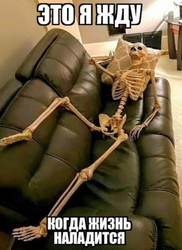 скелет на диване