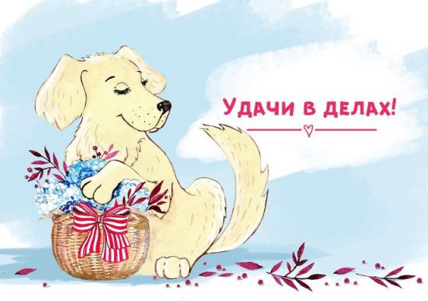 Удачи желаю