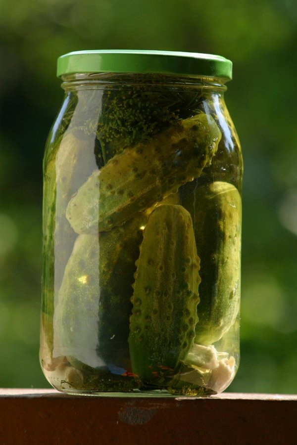 маринованные огурцы