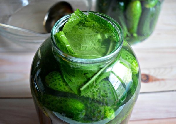 консервирование огурцов