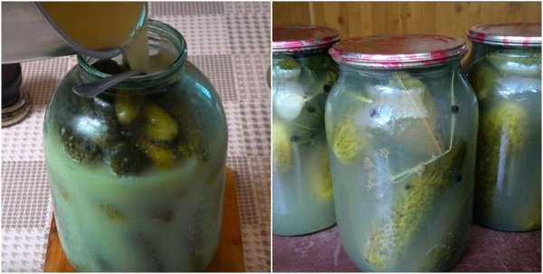 консервирование огурцов