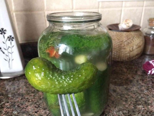 солим огурцы