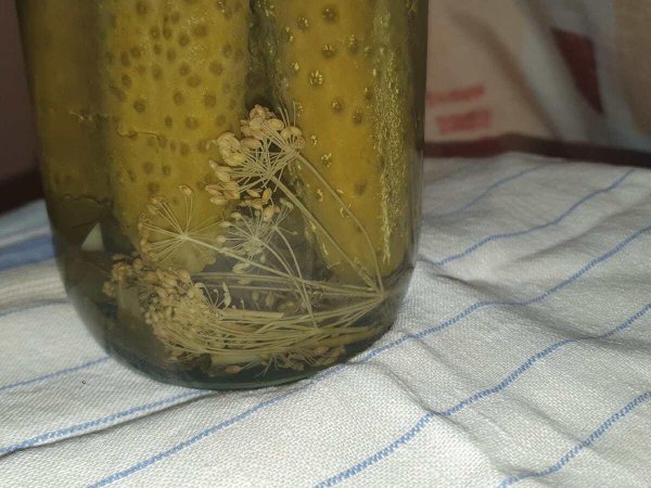 огуречный рассол