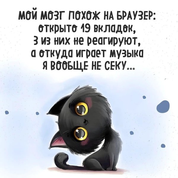 цитаты юмор