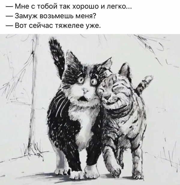 ярышкин анатолий художник коты