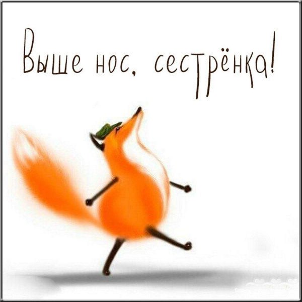 хвост трубой