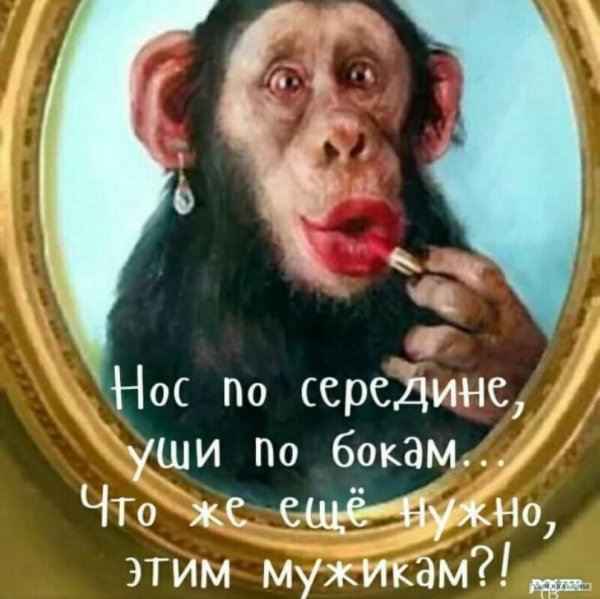 Не вешать нос