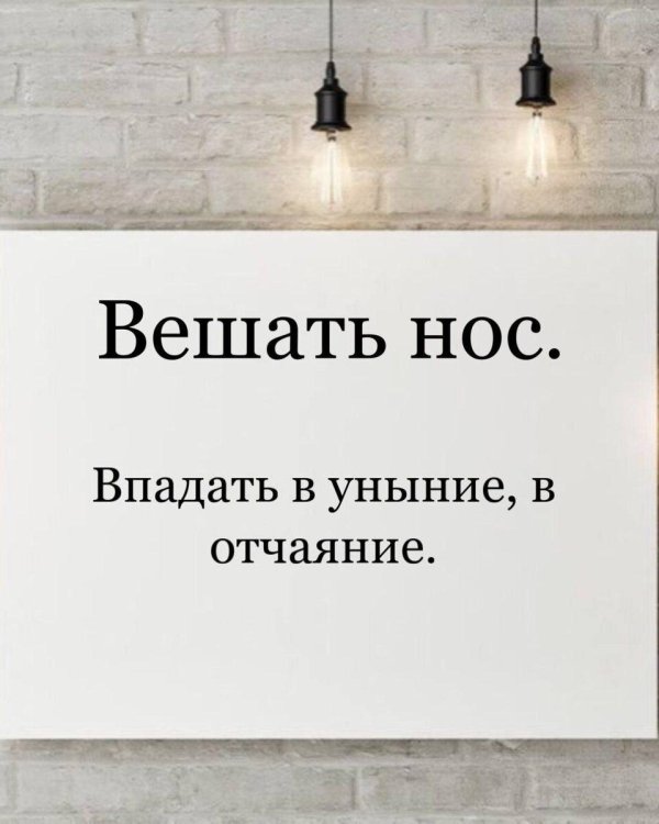 фразеологизмы про нос