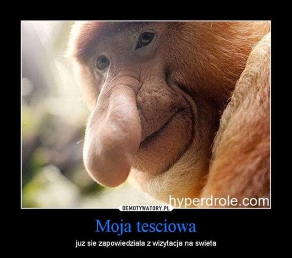 носатая обезьяне