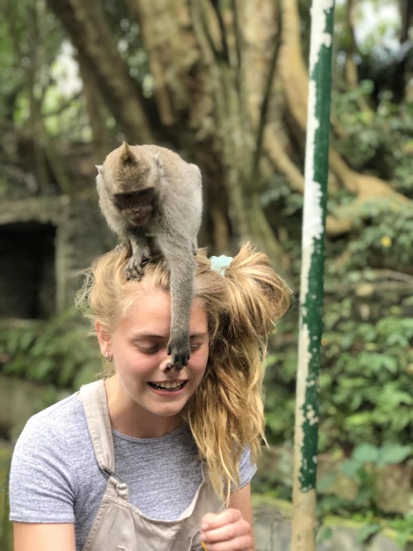 Не вешать нос