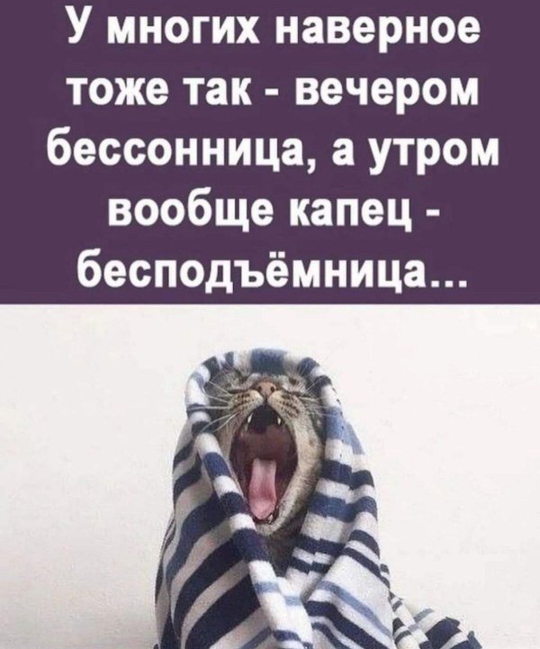 ночь бессонниц