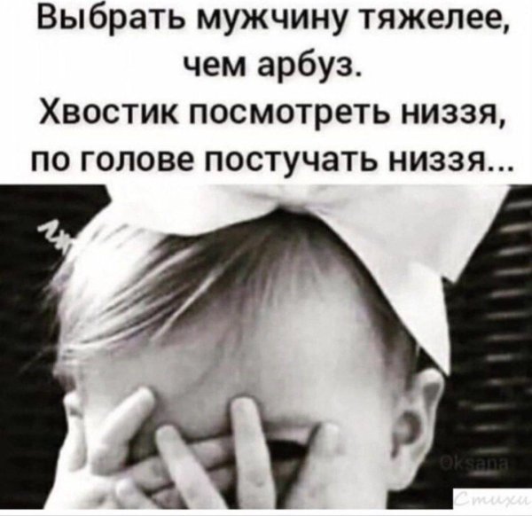 короткие смешные цитаты