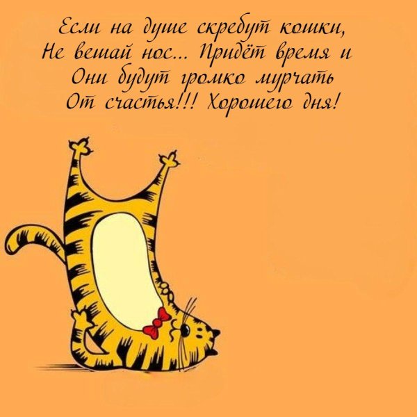 забавные иллюстрации