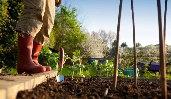 работа в саду