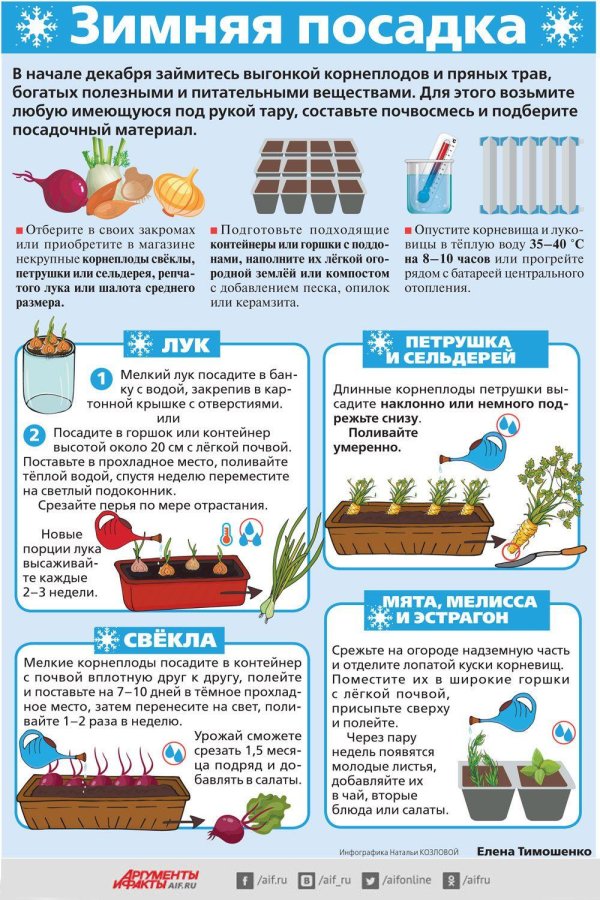 шпаргалка огородника