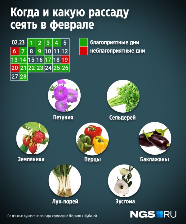 календарь посадки рассады