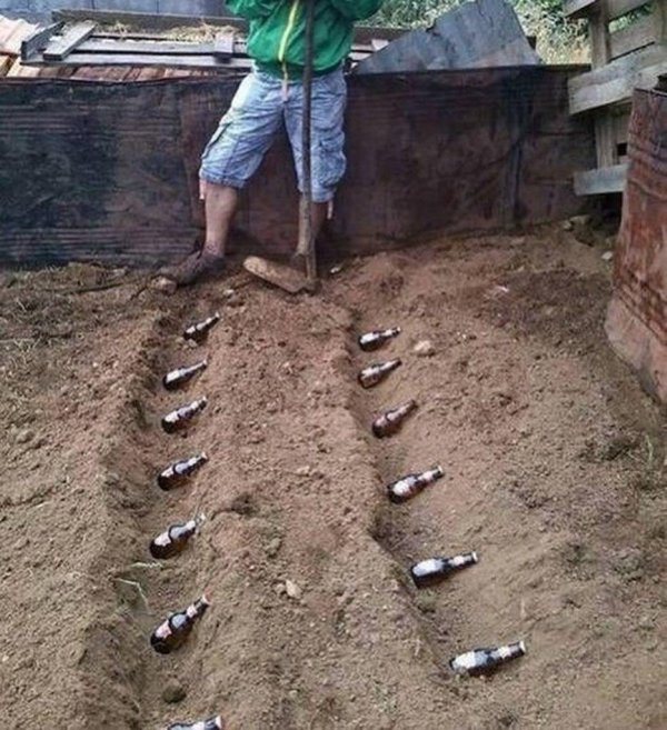 грядки из бутылок