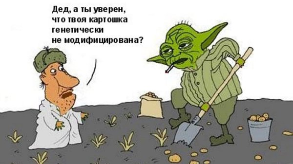 картошка карикатура