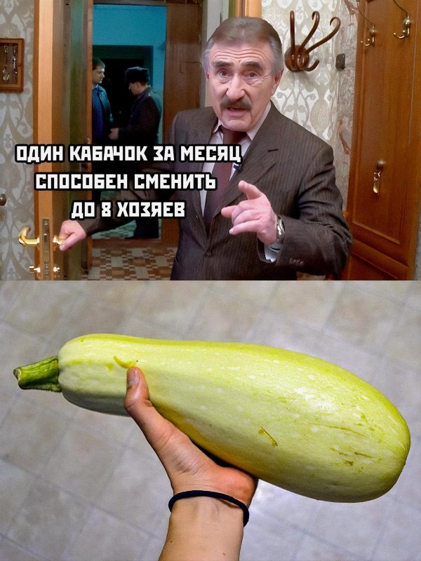 кабачки большие