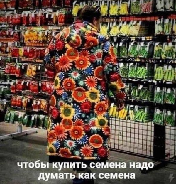 приколы юмор