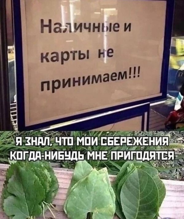 оплата натурой