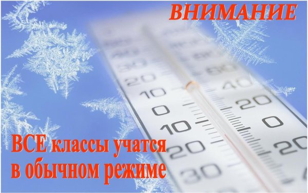 Температурный праздник 22 января