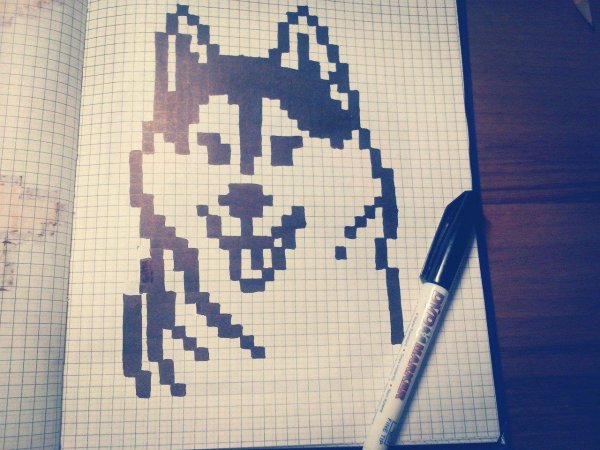 рисунка по клеточкам