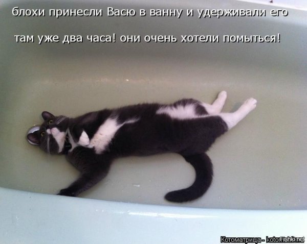Расслабься