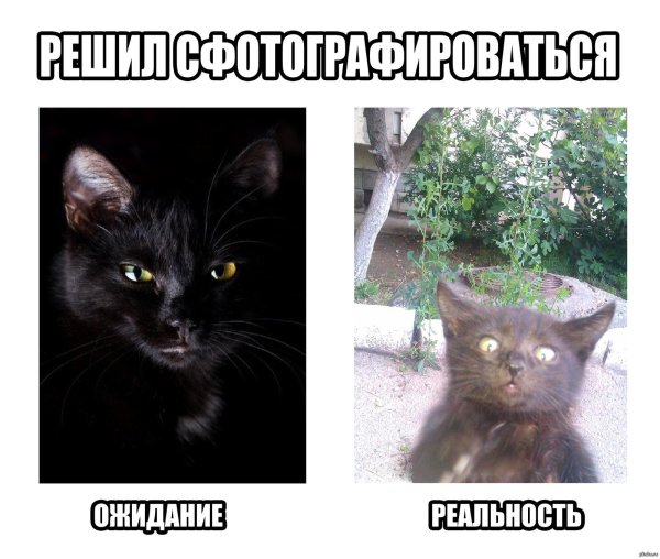 Ожидание