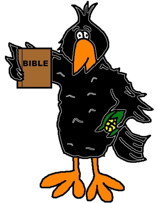 прикольная ворона