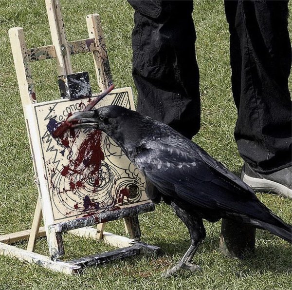 огромный ворон