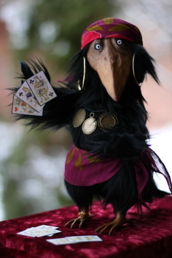 ворона цыганка