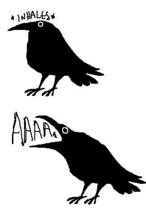 силуэт грача