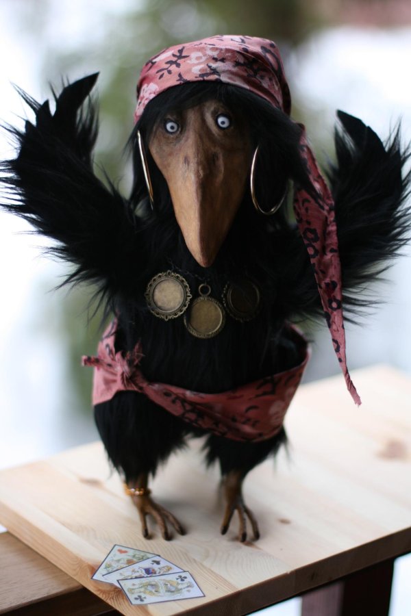 ворона каркуша