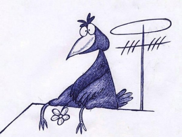 карикатуры про птиц