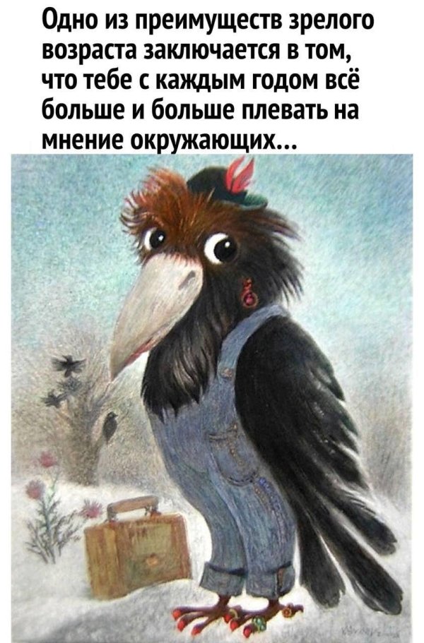 веселые высказывания