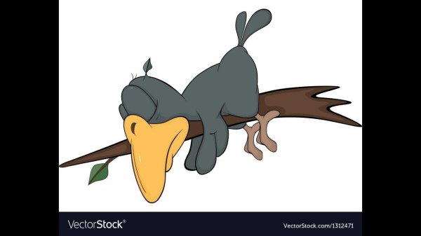 сорока мультяшная