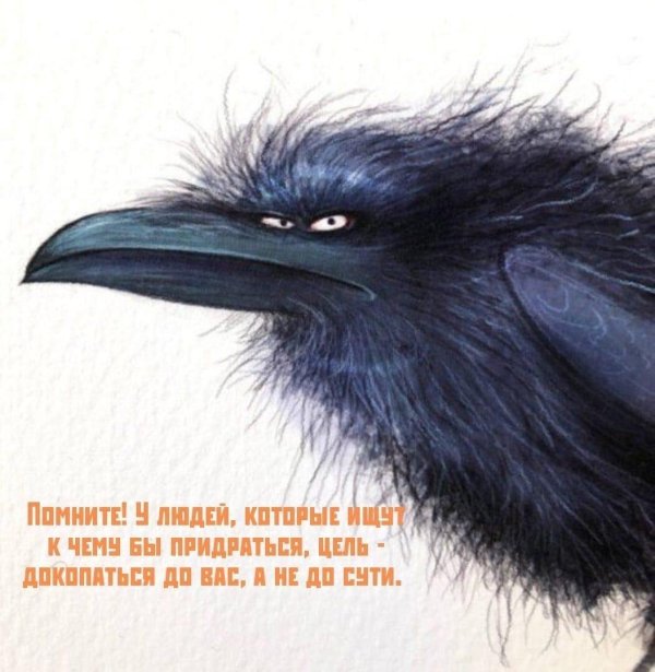 смешные вороны