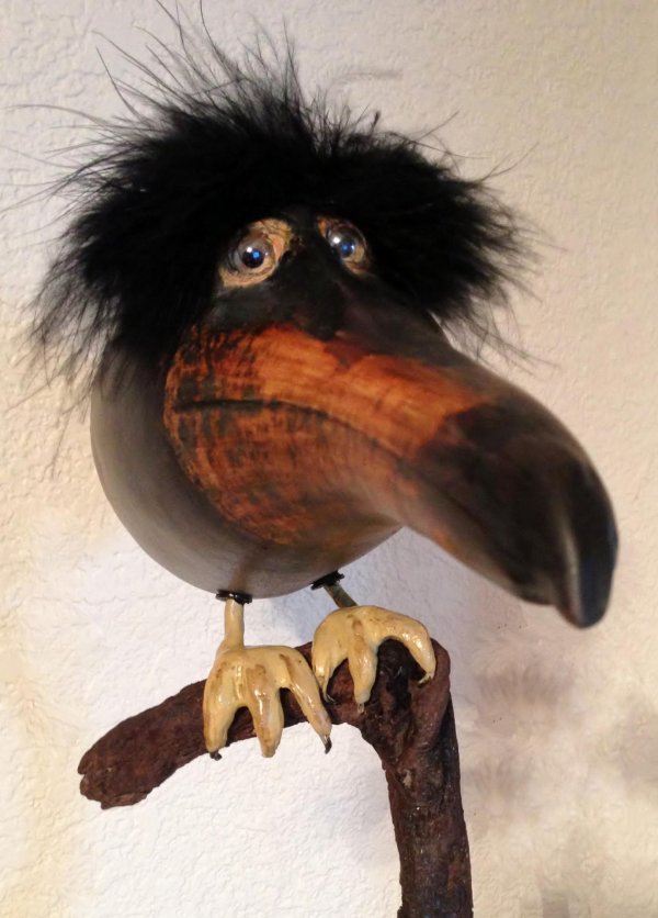 ворона каркуша