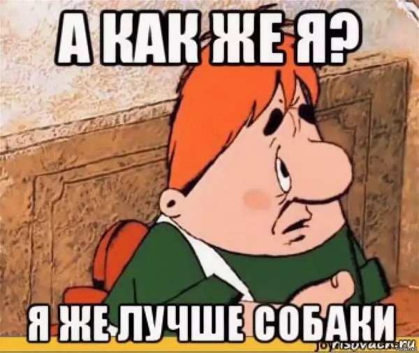 ведь я же лучше собаки