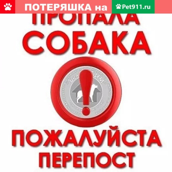 Нашлась пропажа