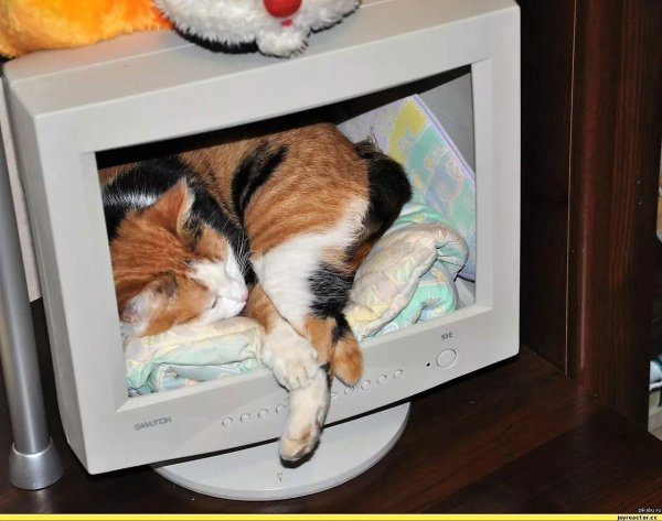 монитор старый